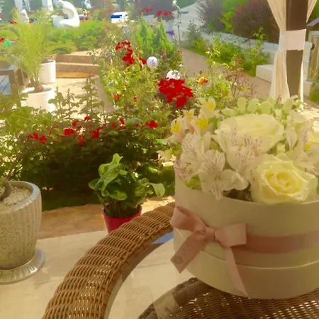 ゲストハウス Casa Ok By Ovo