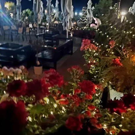 Πανσιόν Casa Ok By Ovo 4*