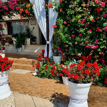 Casa Ok By Ovo Πανσιόν