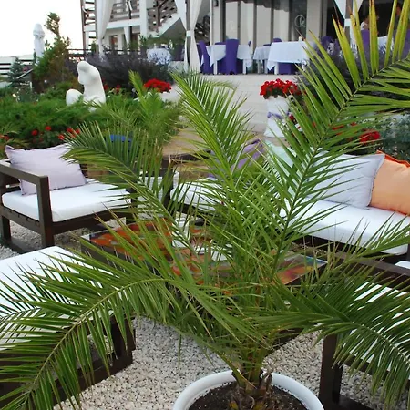 Pensjonat Casa Ok By Ovo Vama Veche