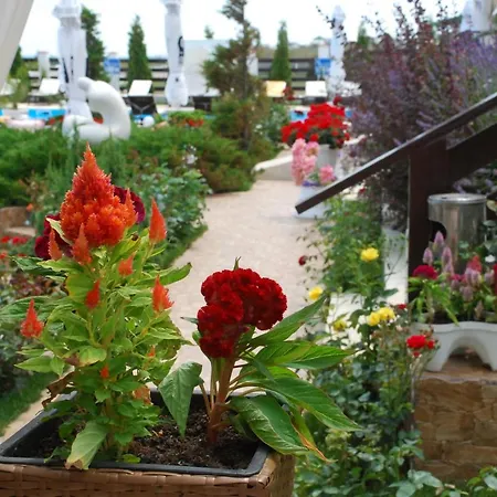 Πανσιόν Casa Ok By Ovo Vama Veche