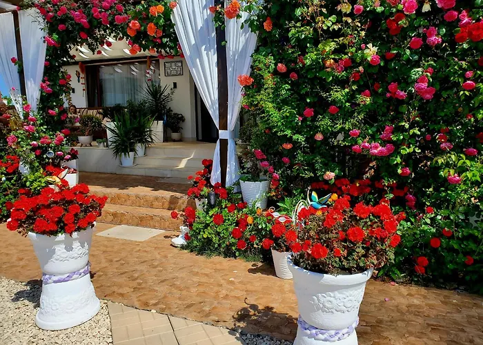 Casa Ok By Ovo Guest house