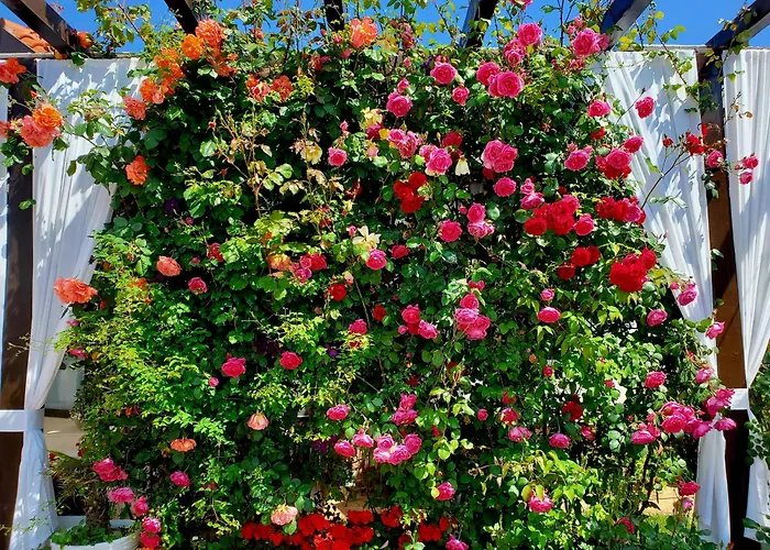 Guest house Casa Ok By Ovo