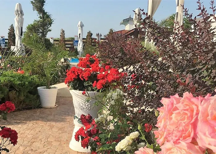 Guest house Casa Ok By Ovo