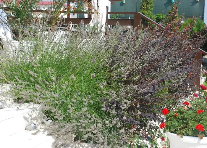 Casa Ok By Ovo Vama Veche