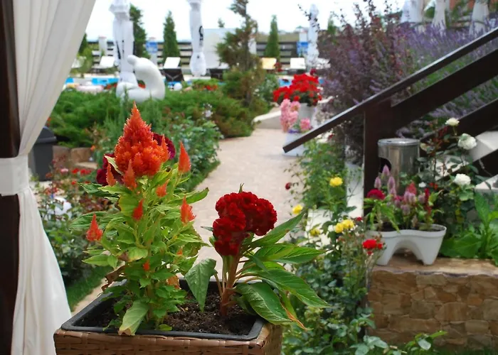 Guest house Casa Ok By Ovo Vama Veche